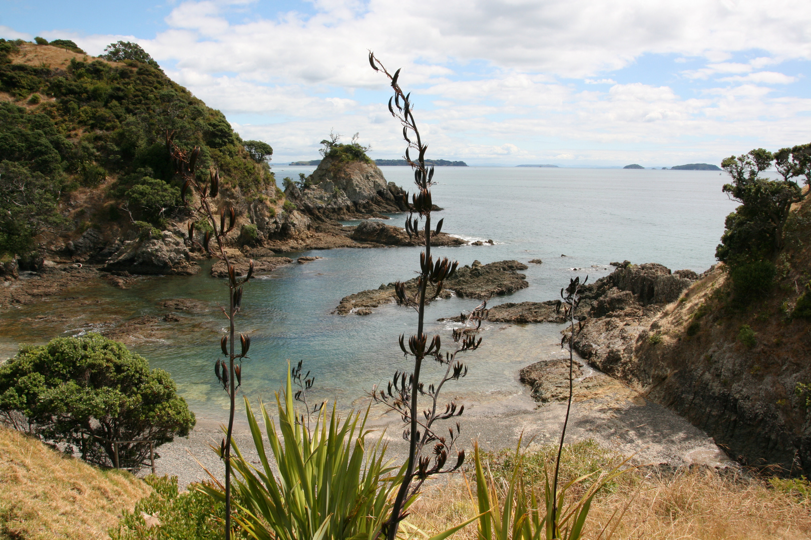 tramping track (Waiheke Island)