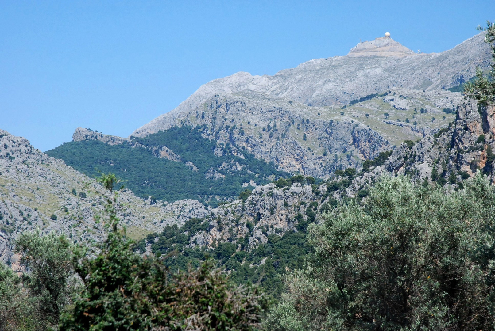 TRAMUNTANA, Vell de Balitx (Mallorca)