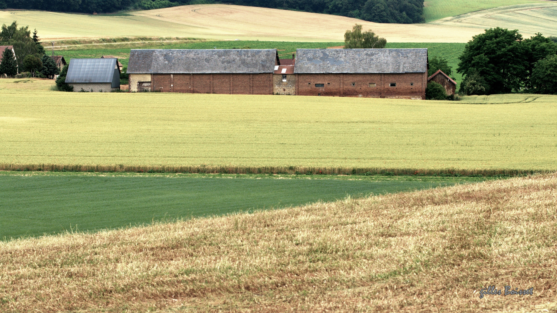 tranches d'été