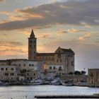 TRANI