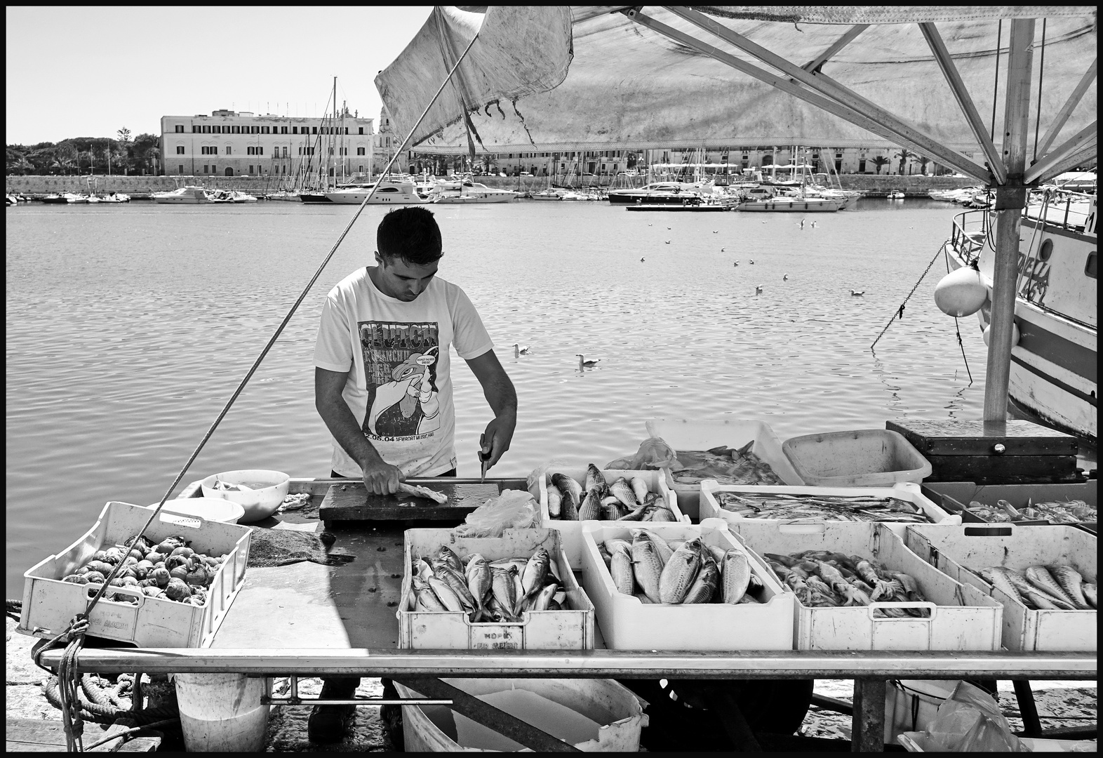 Trani