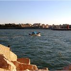 Trani