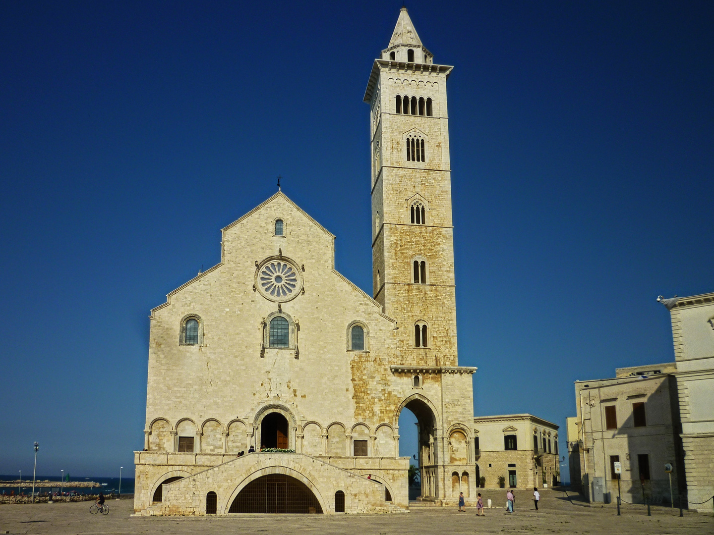 Trani - Kathedrale San Nicola Pellegrino