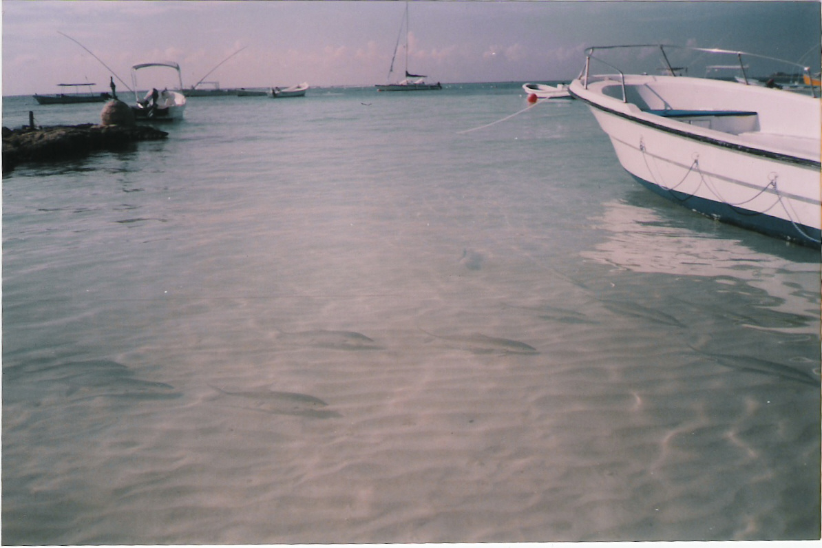 tranparencia,tulum,mexico