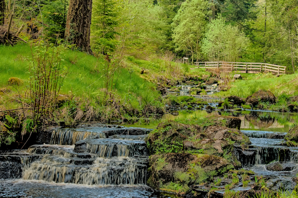 Tranquil Vally.