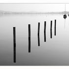 tranquilidad al lago en verano