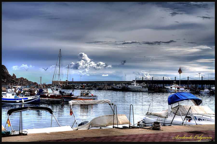 TRANQUILIDAD EN EL PUERTO