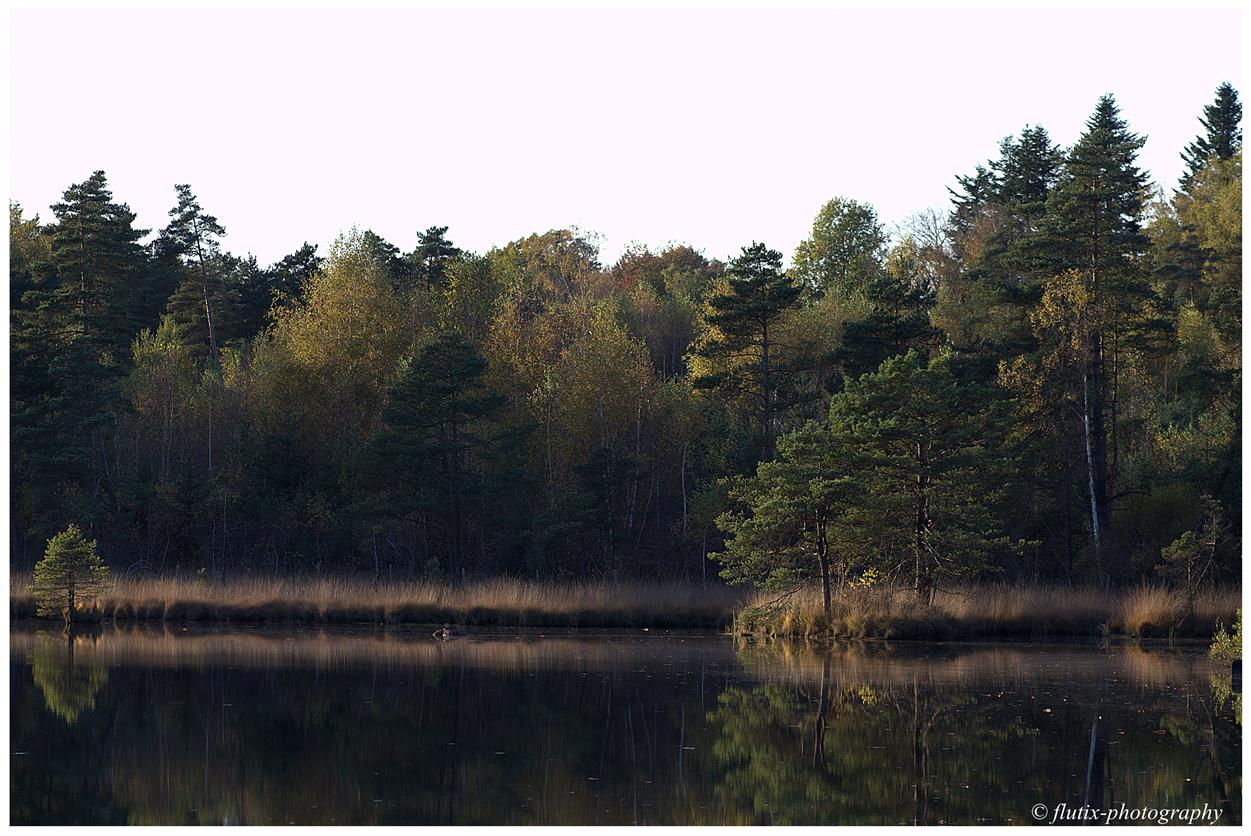 Tranquilité d' automne