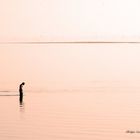 tranquilité ou solitude ?