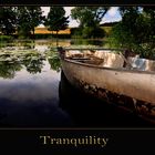 Tranquility