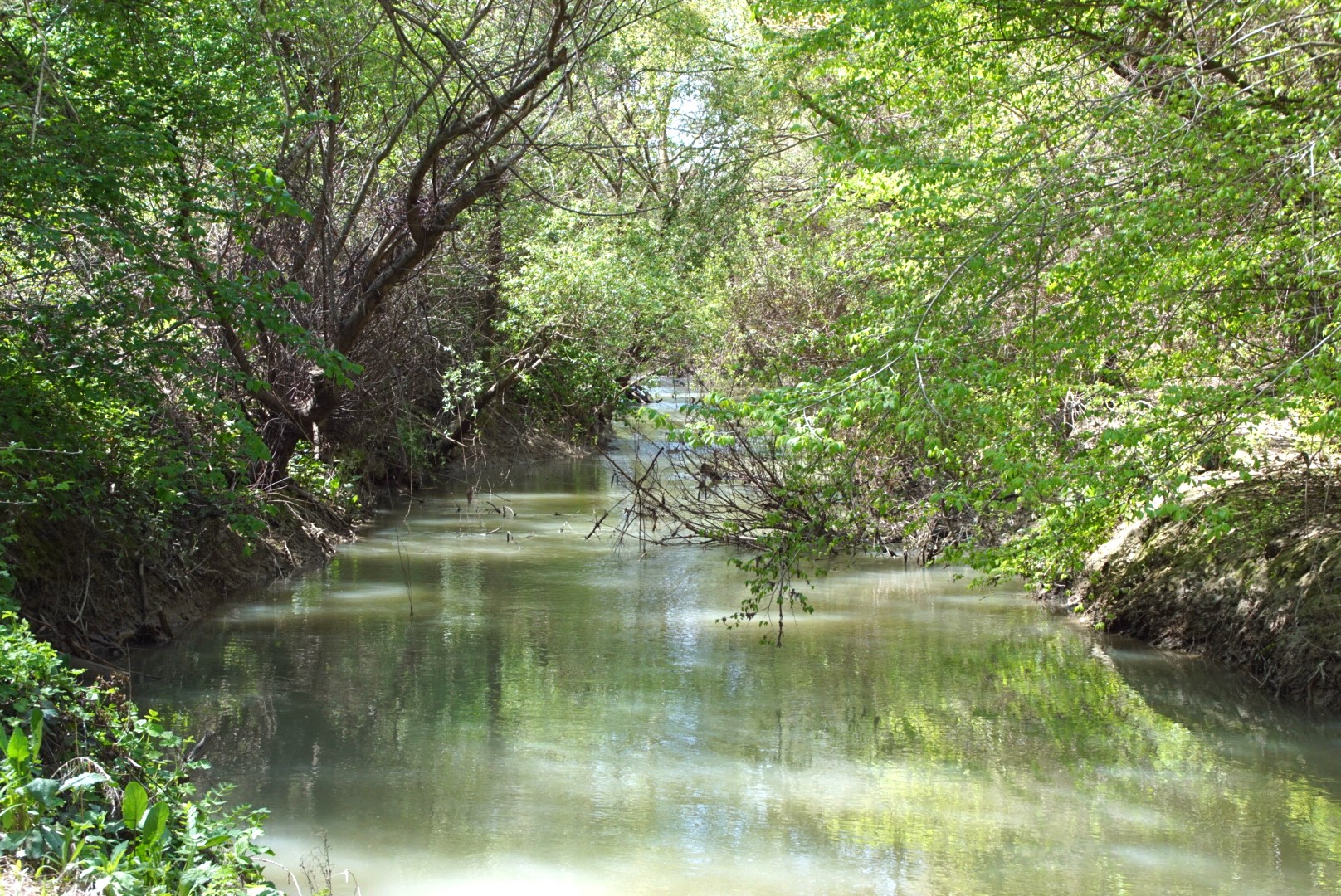 Tranquilla mattina di primavera al fiume