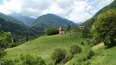 tranquilla nel verde