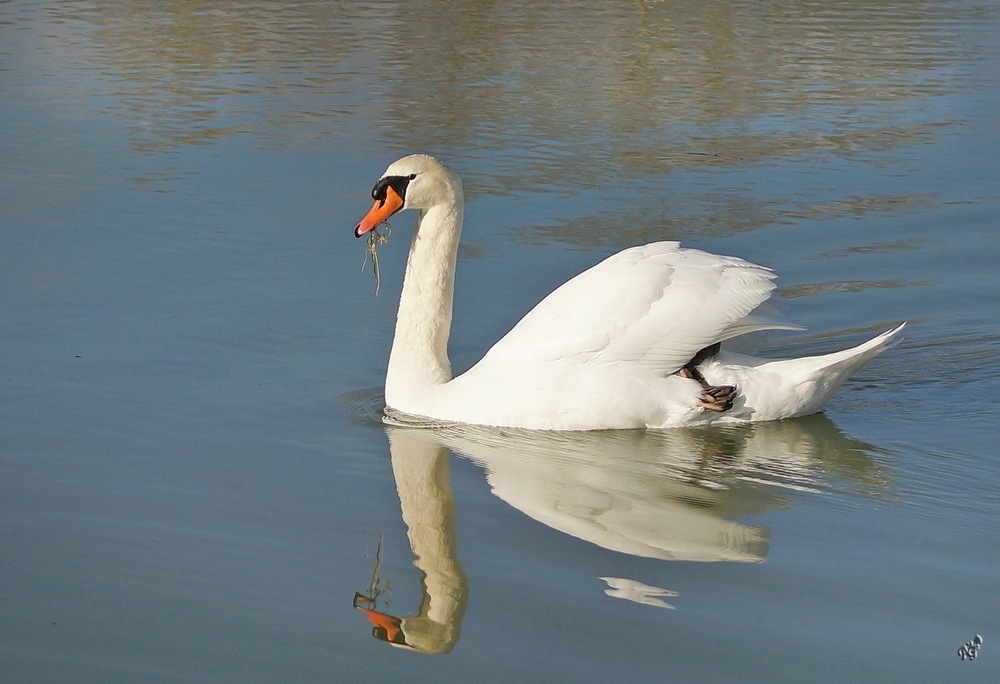 tranquille au fil de l'eau