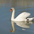 tranquille au fil de l'eau