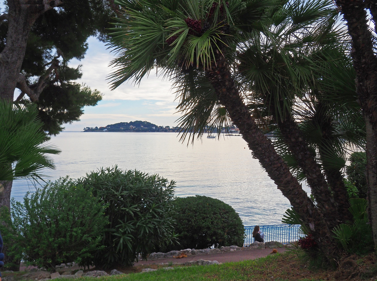 Tranquillité à Beaulieu-sur-Mer	