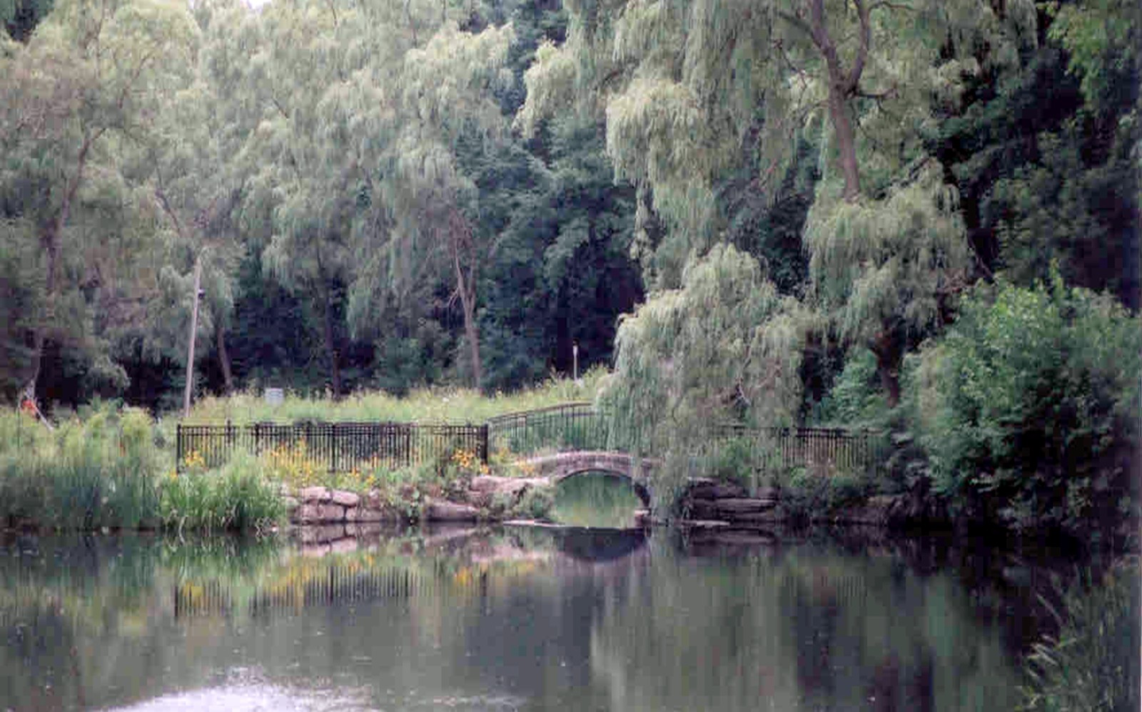 Tranquillity - High Park Toronto -Canada