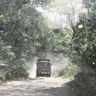 Trans Palawan Highway