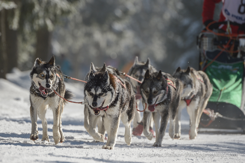 Trans-Thüringia 2015 - Auf der Strecke