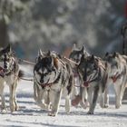 Trans-Thüringia 2015 - Auf der Strecke