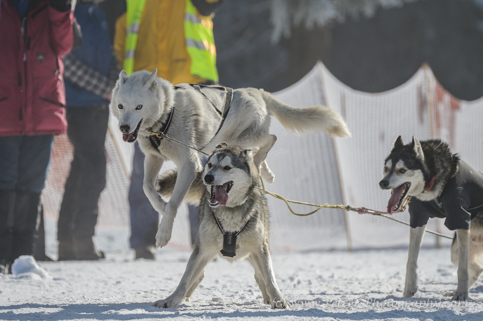 Trans-Thüringia 2015 - Aufregung am Start