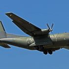 Transall C-160 / 50+94