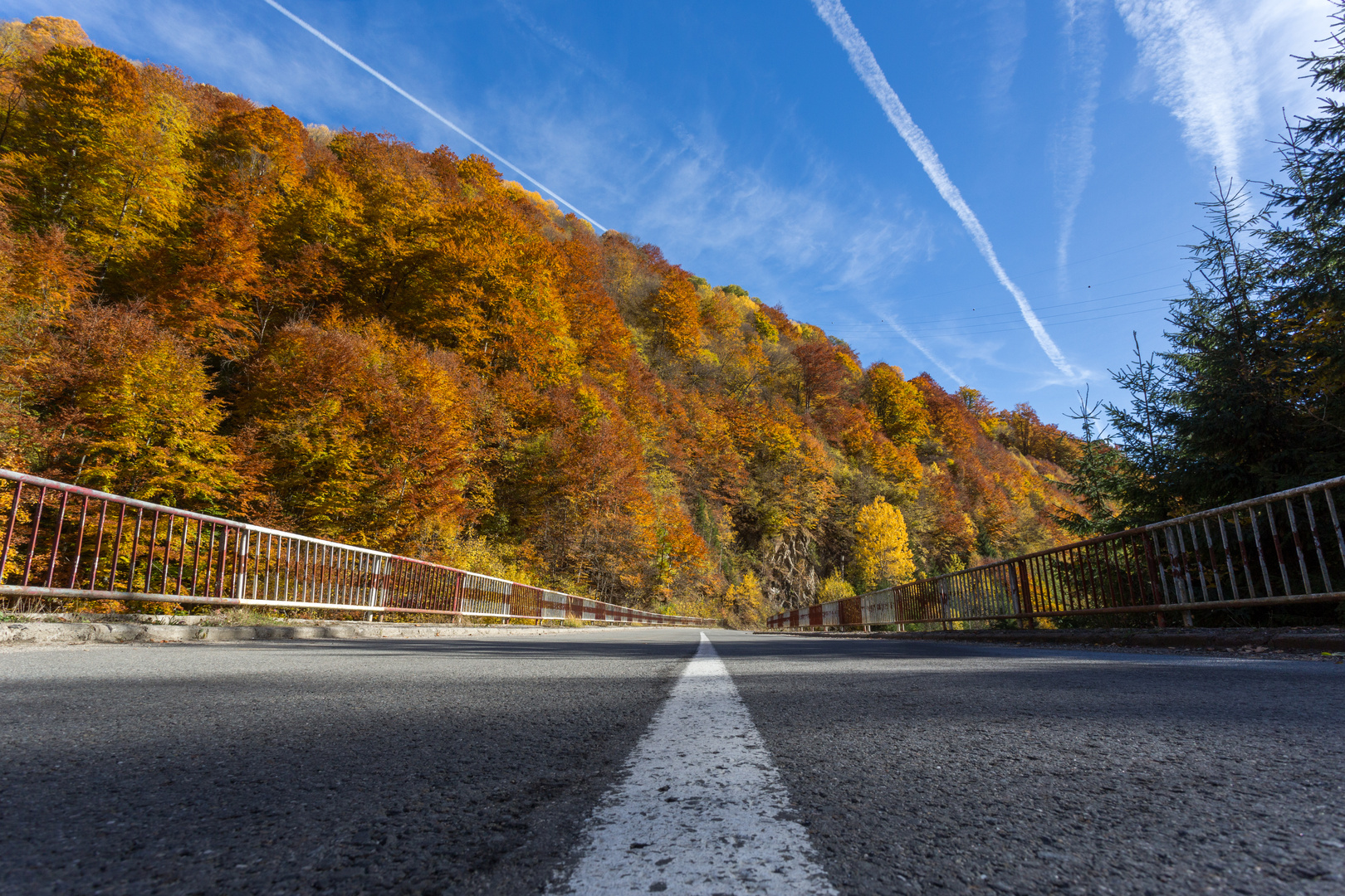 Transalpina