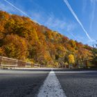 Transalpina