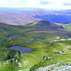 Transalpina