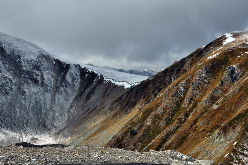 Transalpina