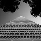 Transamerica