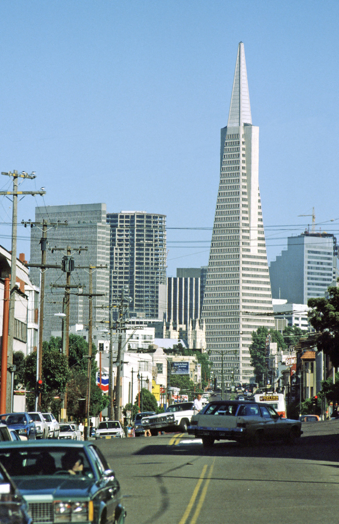 Transamerica Pyramid (8)