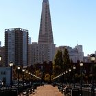 Transamerica Pyramid