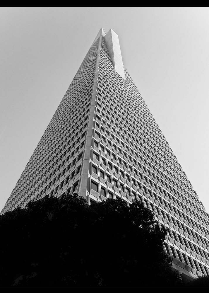 Transamerica Pyramid, San Francisco #2