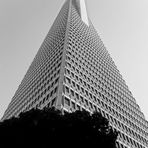 Transamerica Pyramid, San Francisco #2
