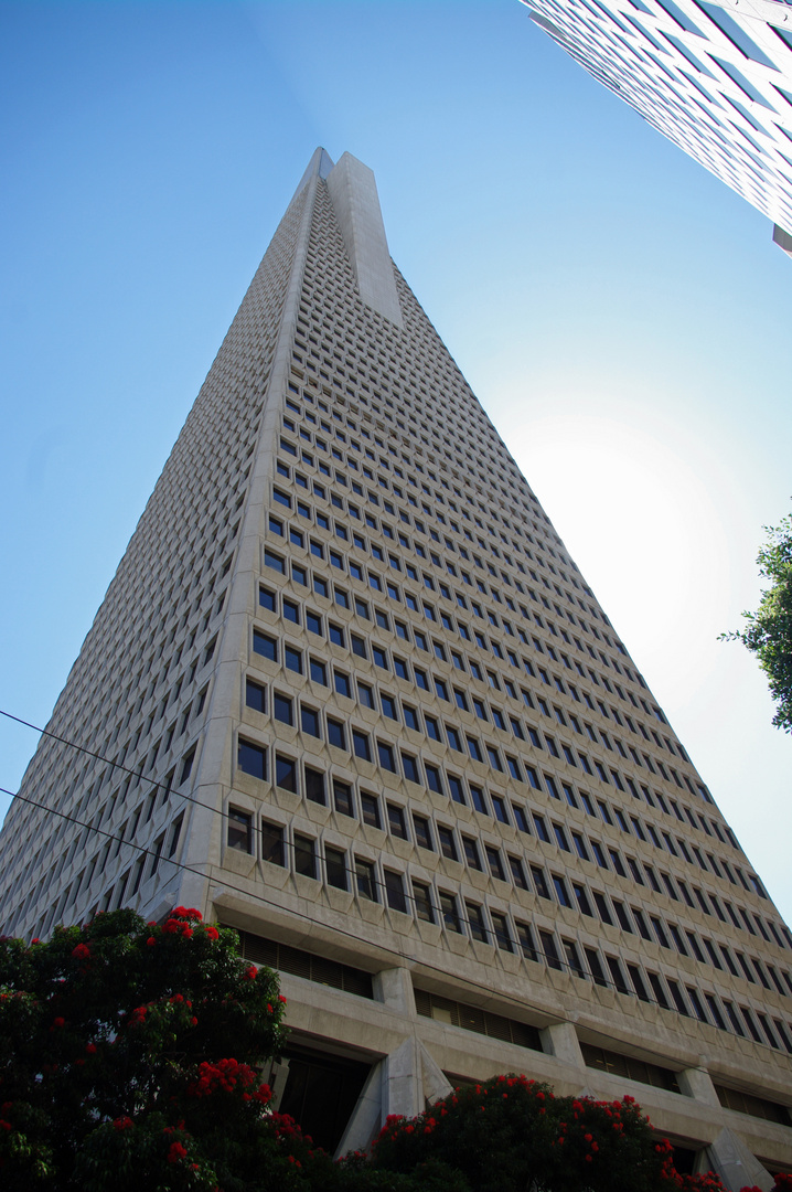 Transamerica Pyramid Tower