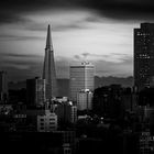 Transamerican Skyline