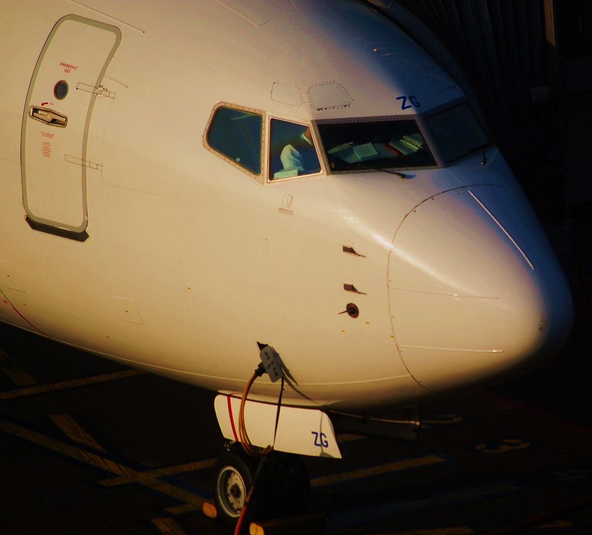 Transavia Boeing 737-800 auf dem Flughafen Hamburg