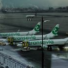 Transavia Flotte in Innsbruck