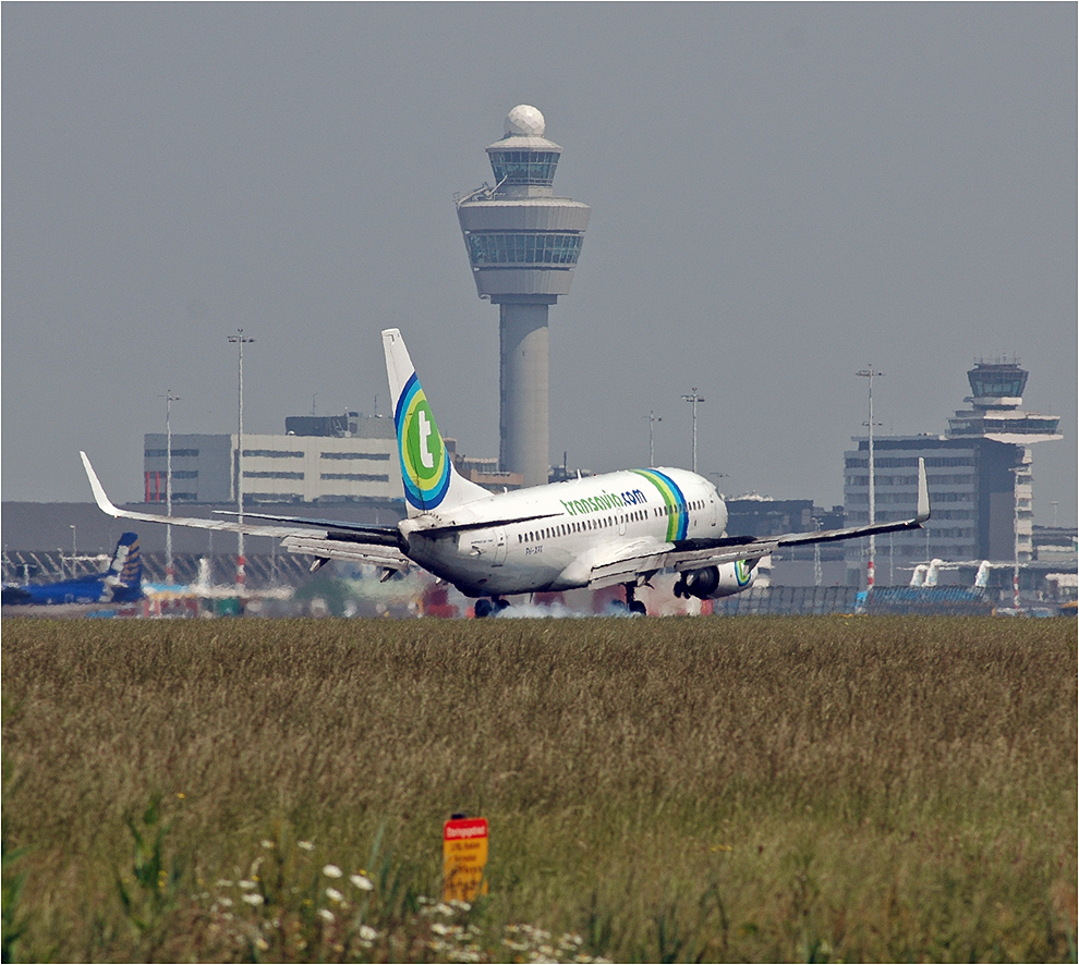 transavia.com