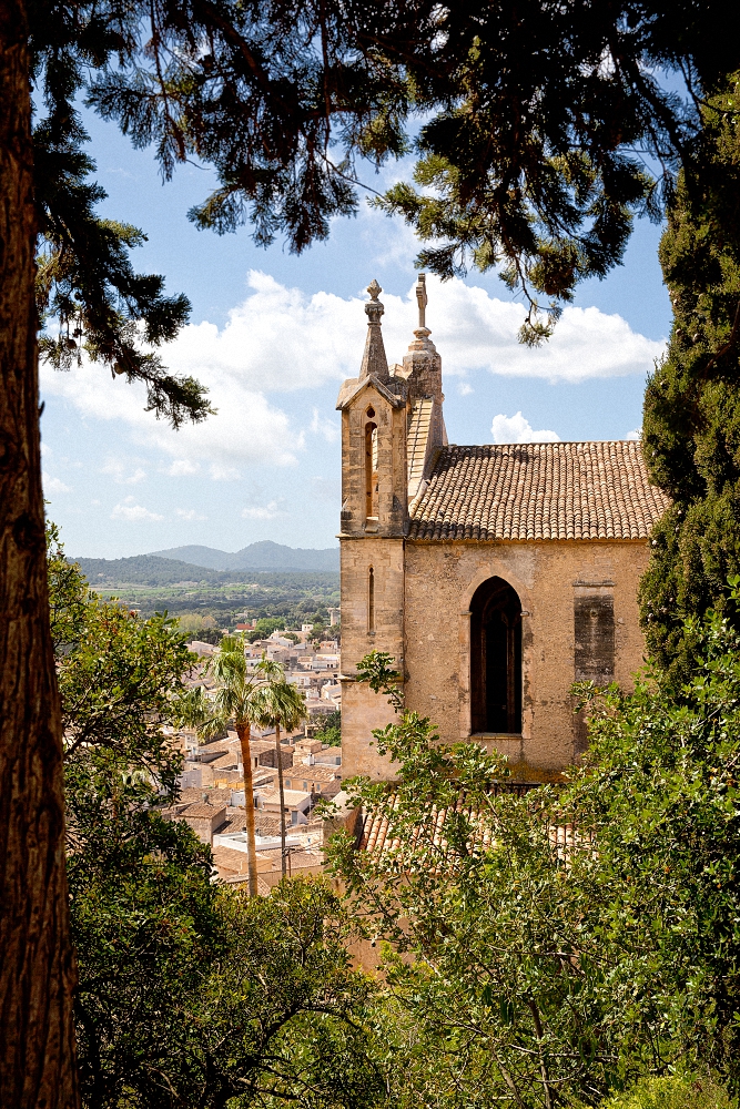 Transfiguracio del Senyor