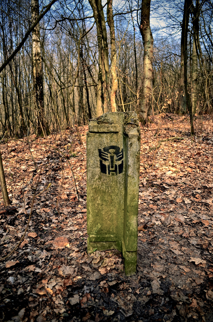Transformers in the wood