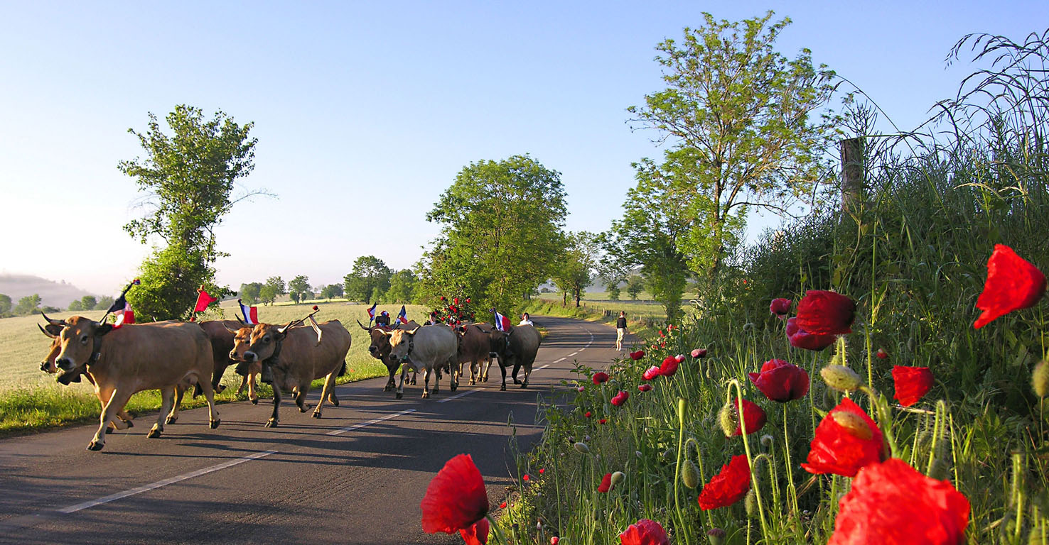 transhumance