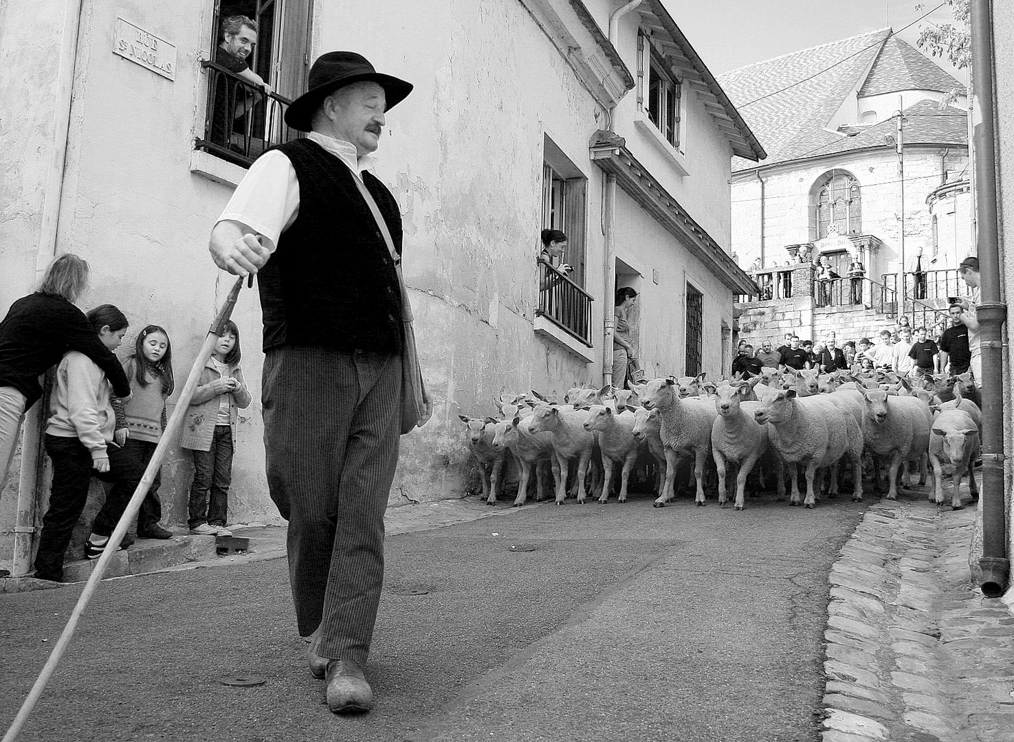 transhumance à 35 km de paris