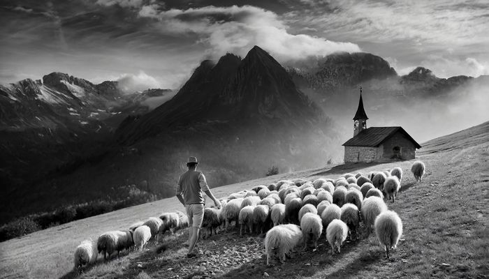 Transhumance