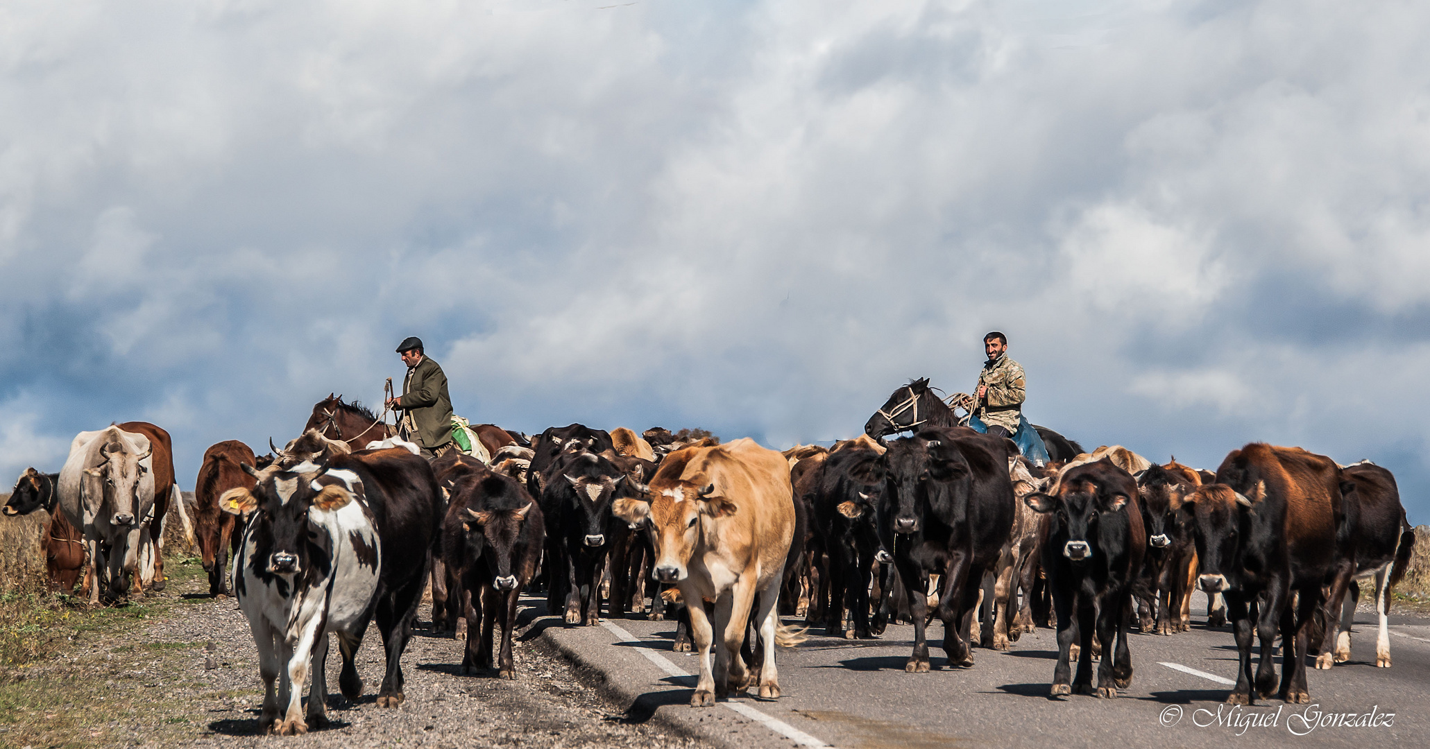 transhumance dans le Haut-Karabagh