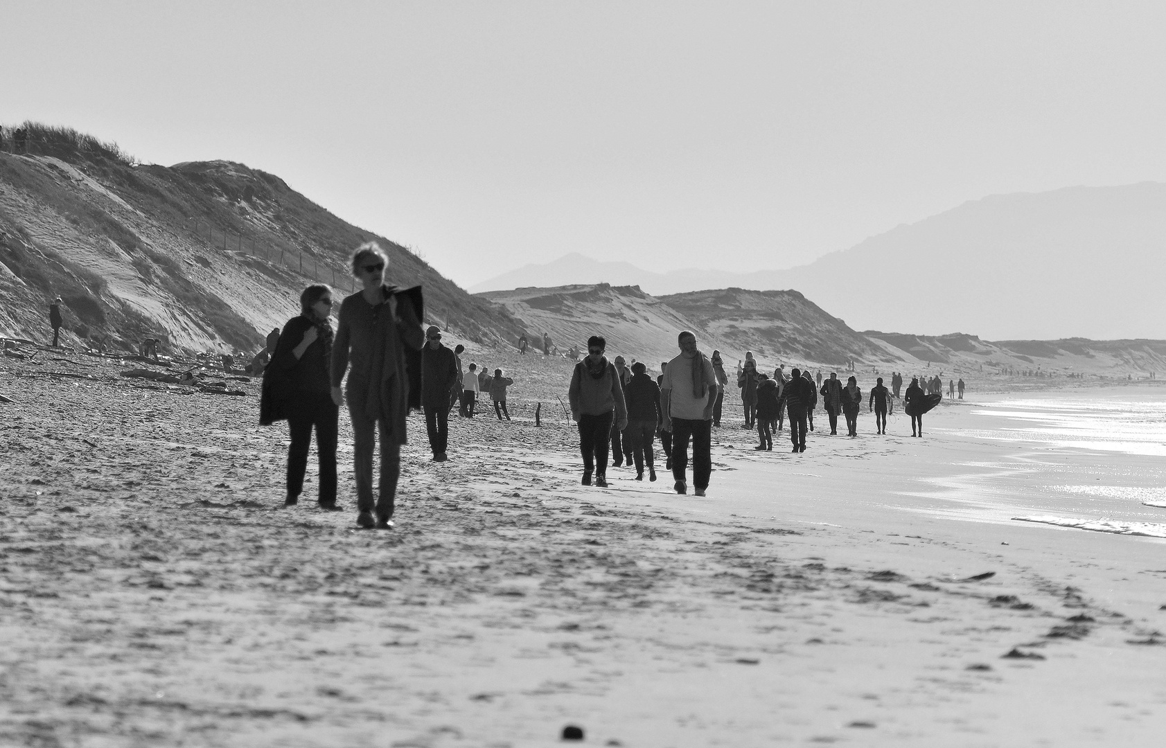 transhumance sur la playa ***  