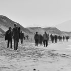 transhumance sur la playa ***  