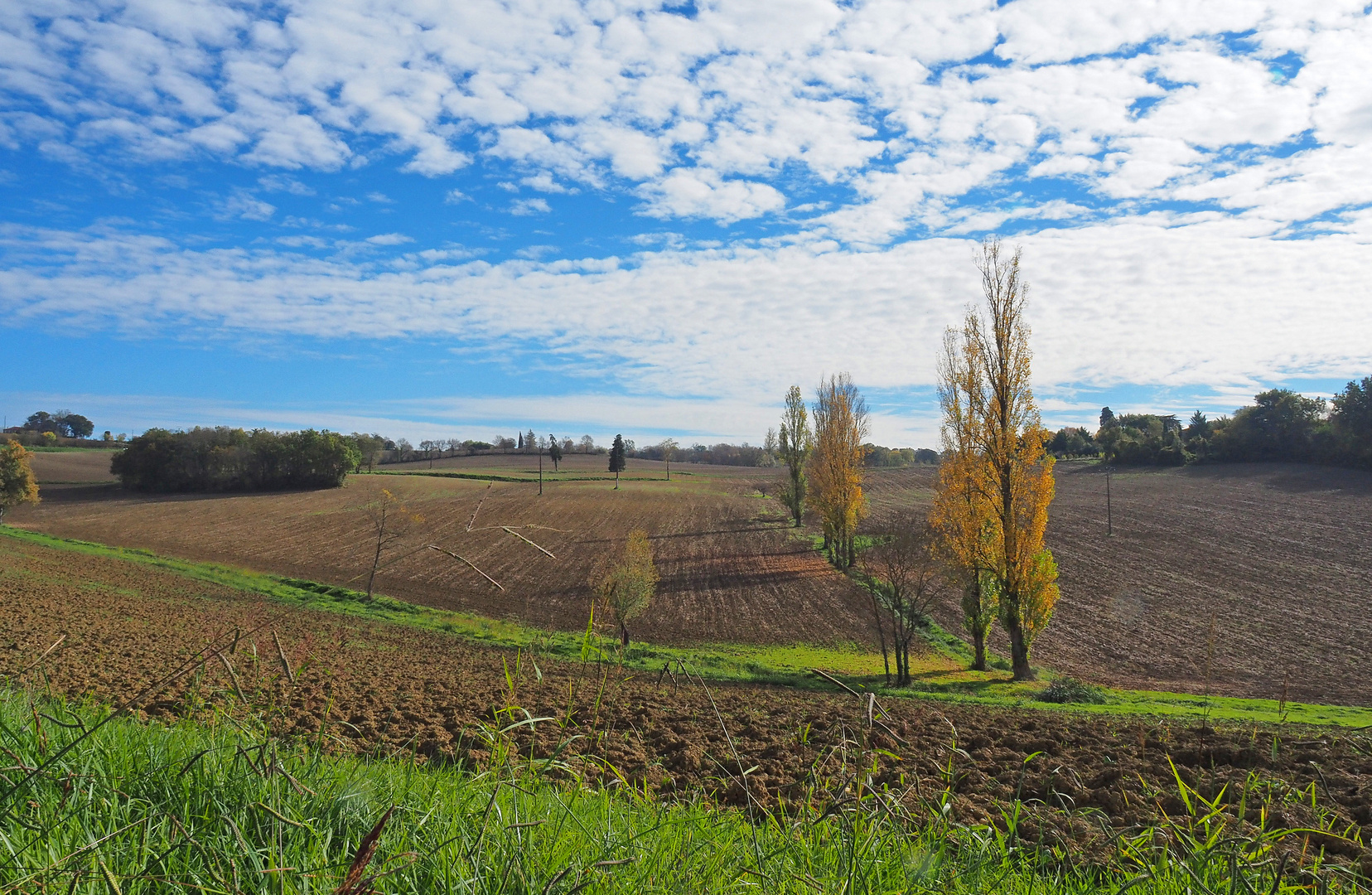 Transition automnale dans le Gers