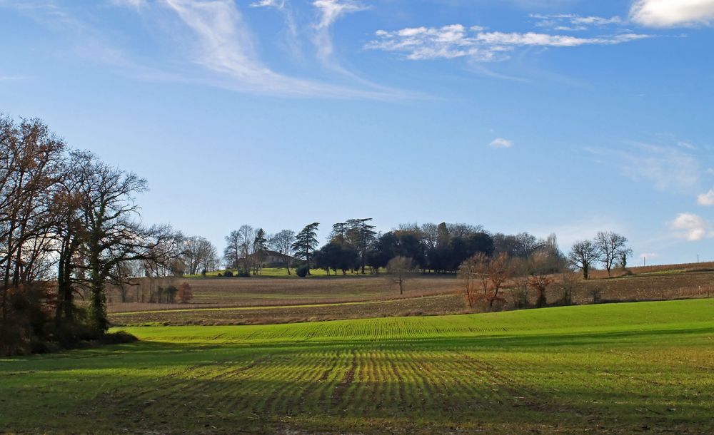 Transition hiver printemps