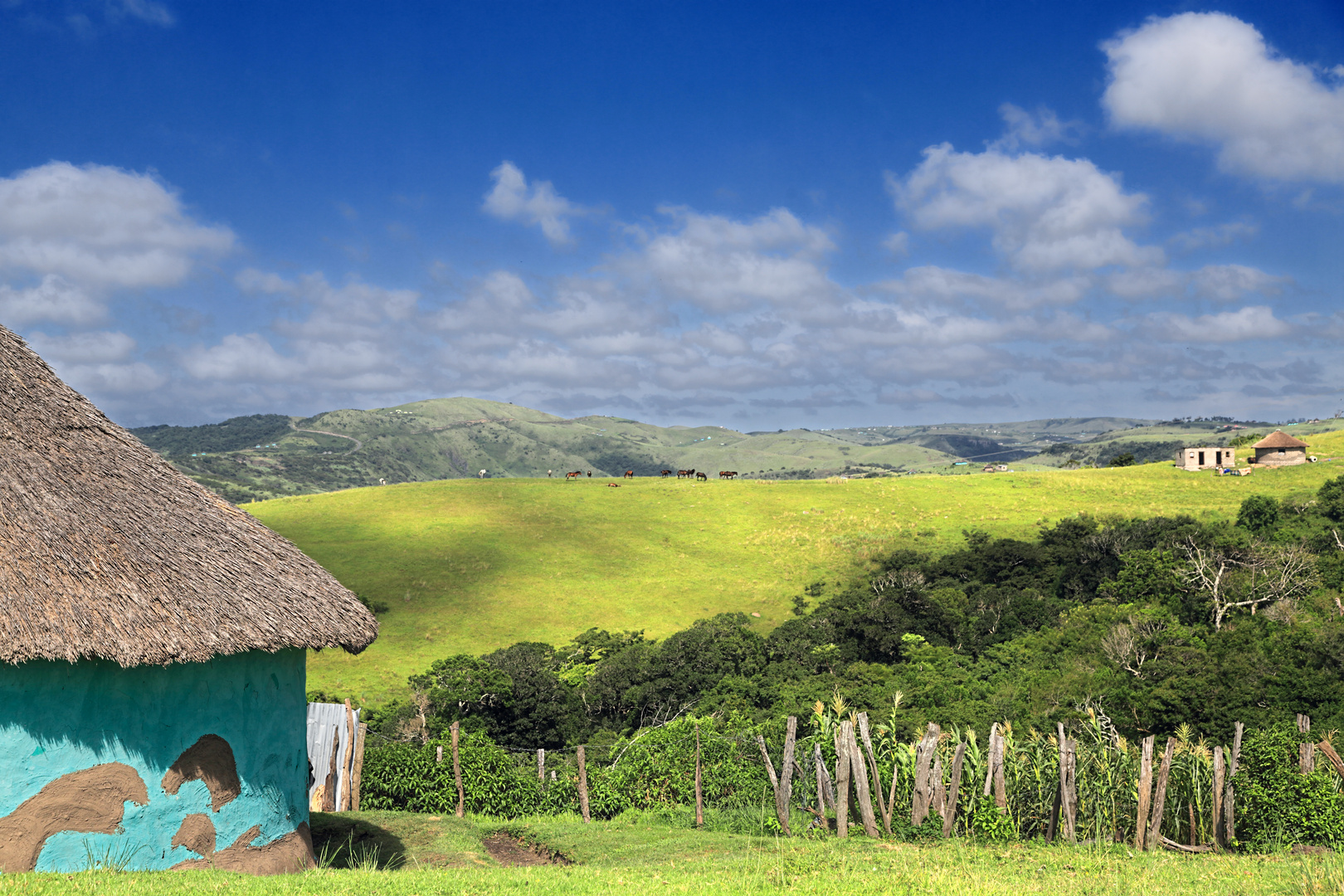 Transkei 1